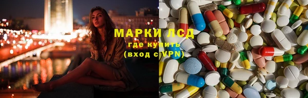трава Верея