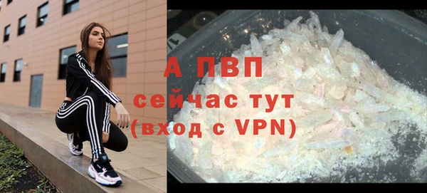 трава Верея