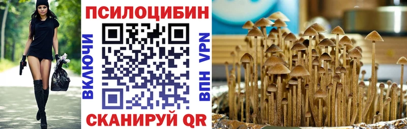 Галлюциногенные грибы Psilocybe  Каменногорск 